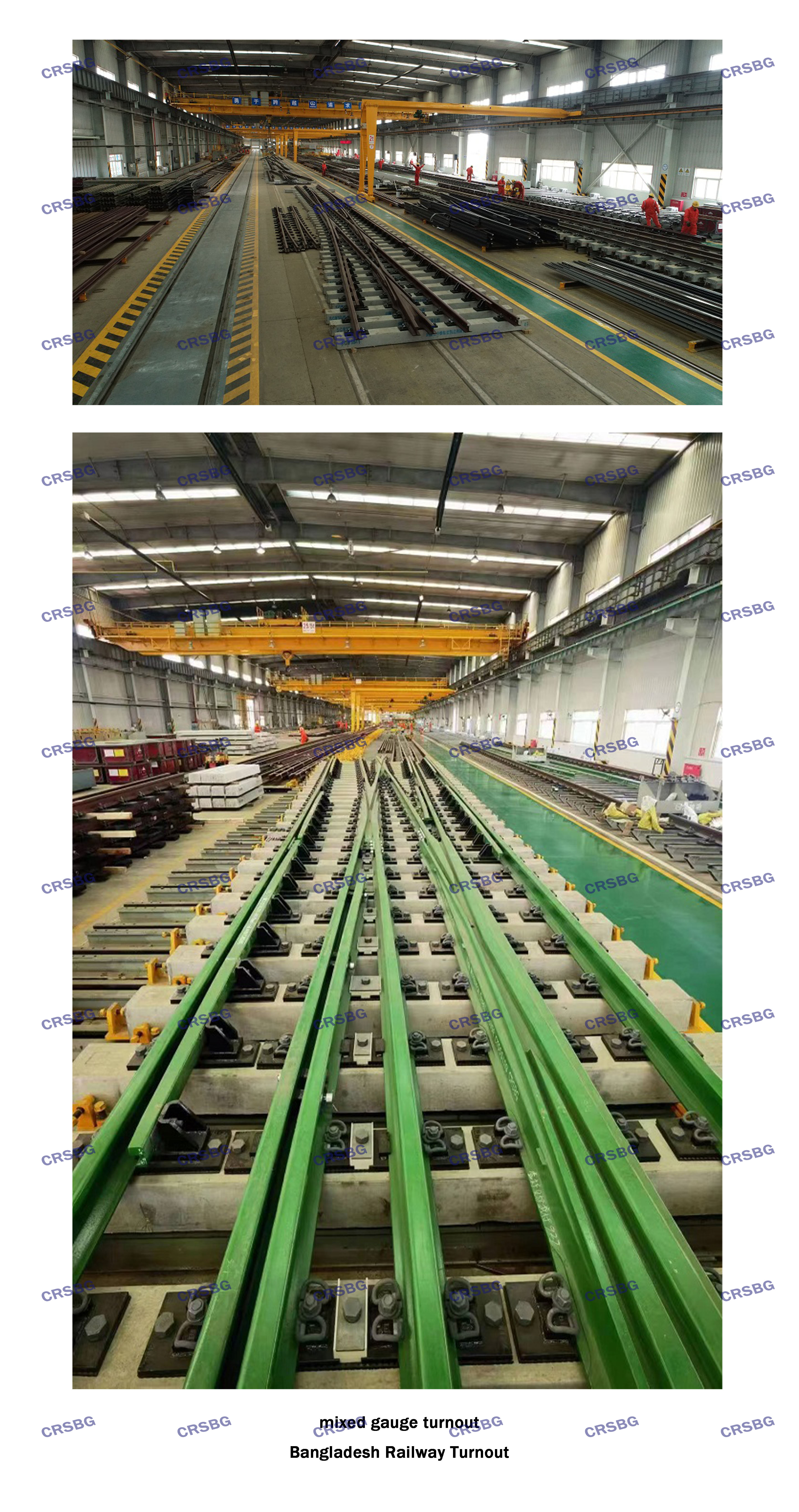 MIXED GAUGE TURNOUT（CRSBG水?。?jpg